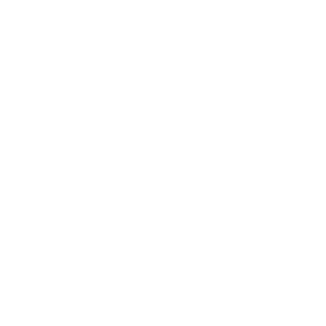 Experienced Team Experienced Team icon