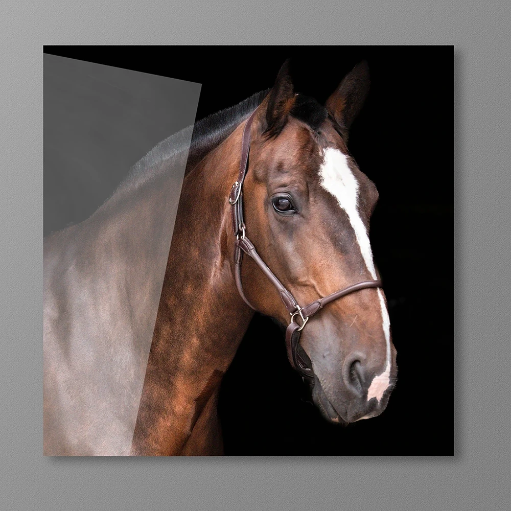 Acrylic Photo Prints