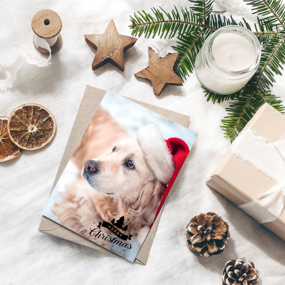 Christmas Cards