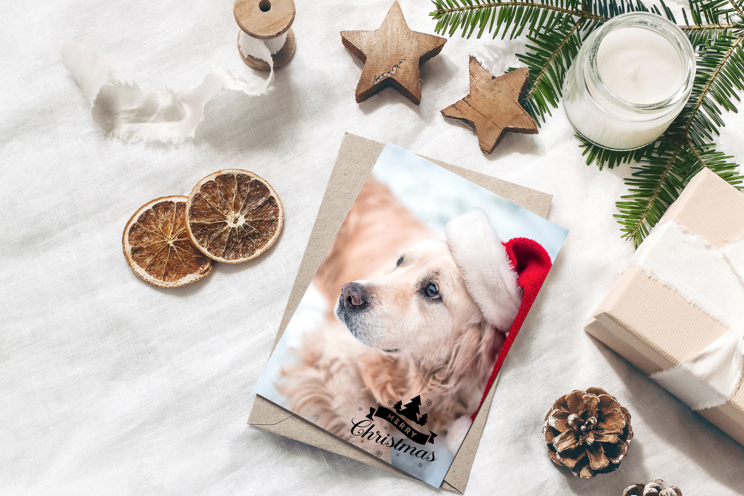 Christmas Cards