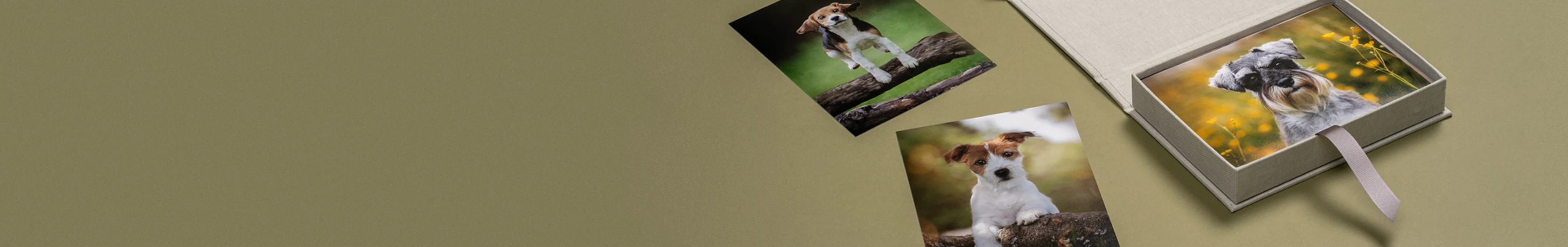 SIM Imaging Products