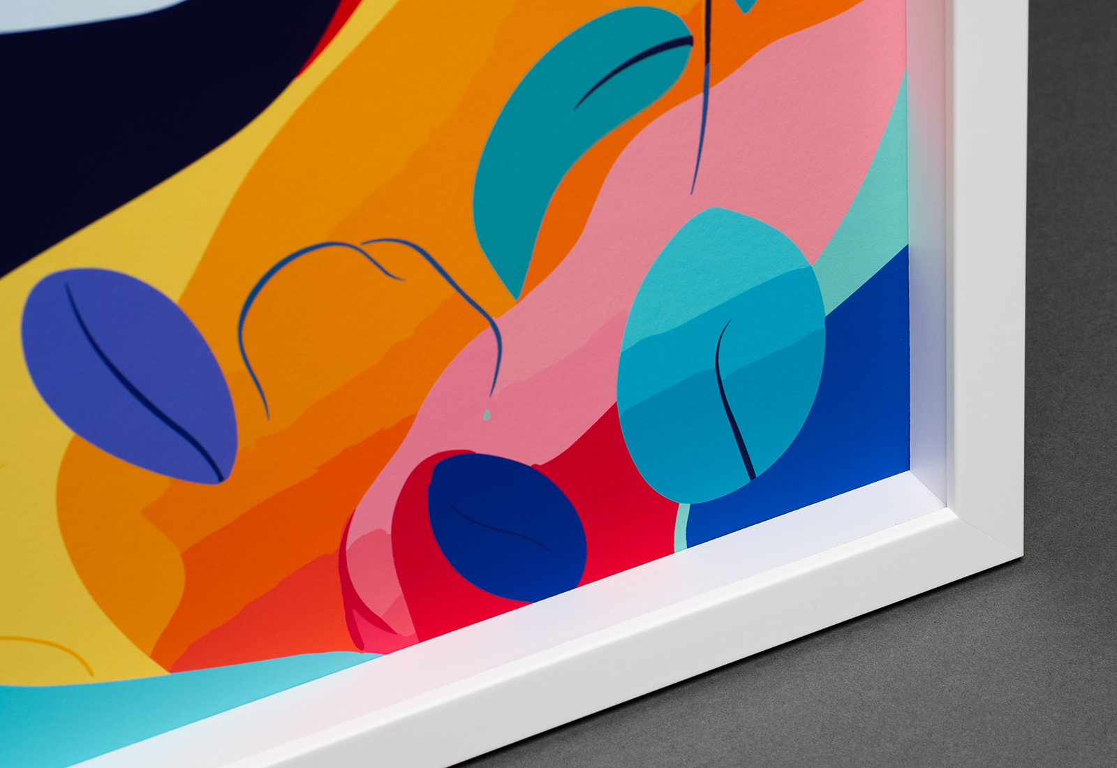 Box Frame Slip Colour