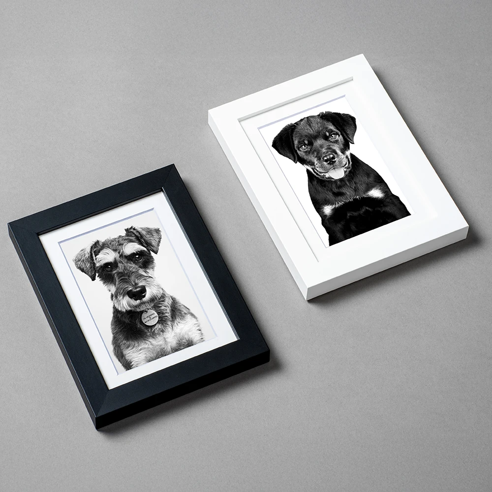 Desktop Frame