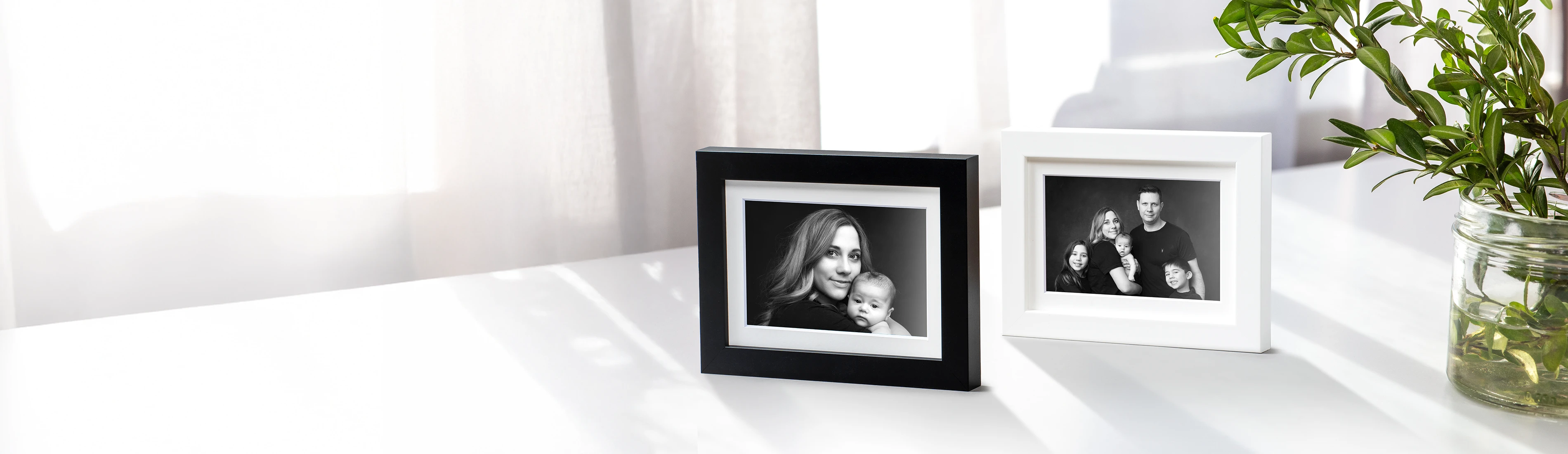 SIM Imaging Desktop Frame