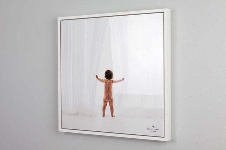 Framed Metal Prints