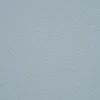 Baby Blue - Embossing / UV Printed