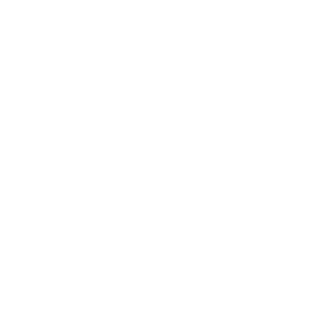 Service Rapide Service Rapide icon