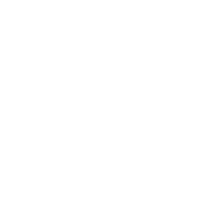 Commande Sécurisée Commande en ligne sécurisée icon